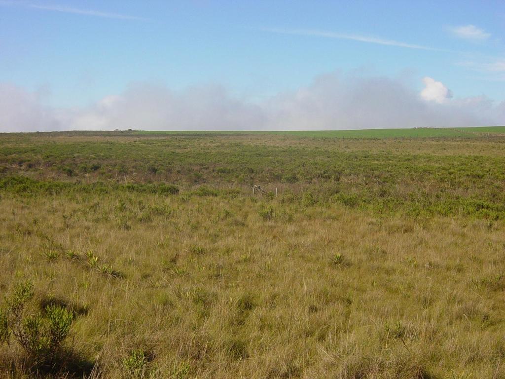 AMBIENTE DE CABECEIRA reverso de cuesta proximal relevo suave ondulado ambiente de