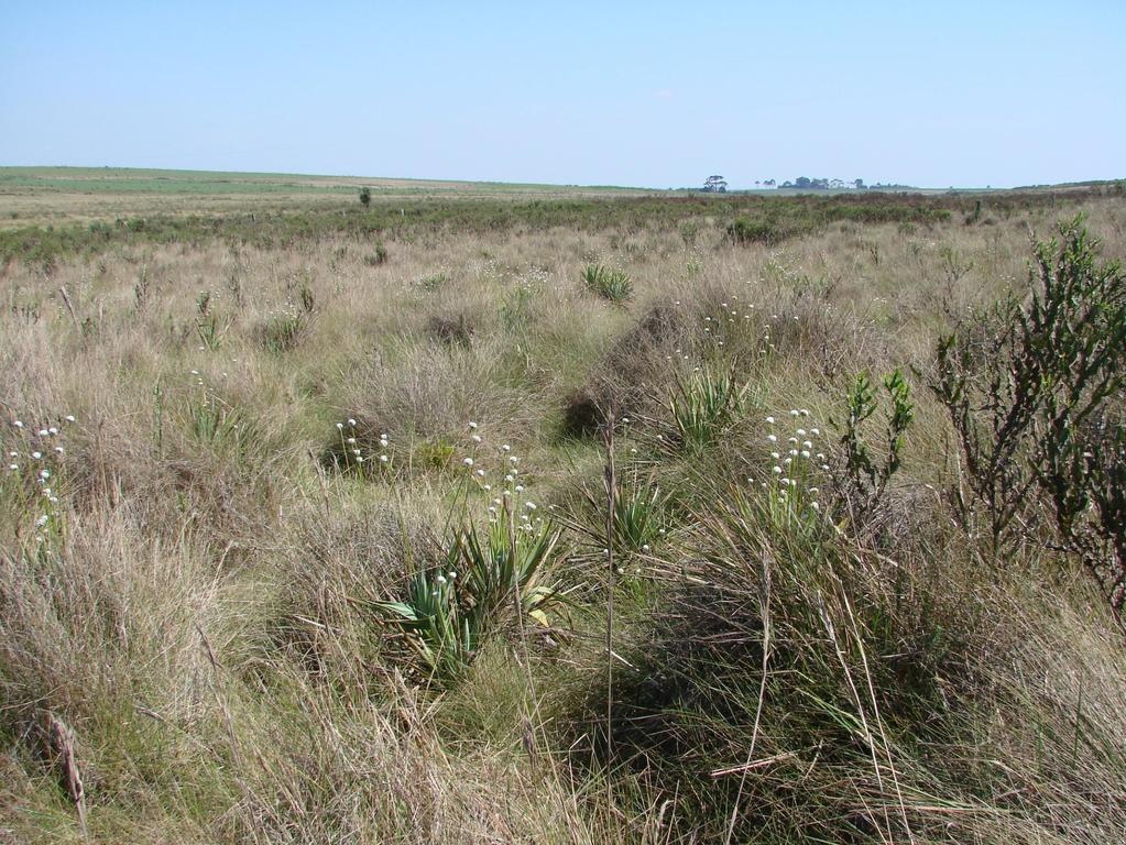 BIODIVERSIDADE