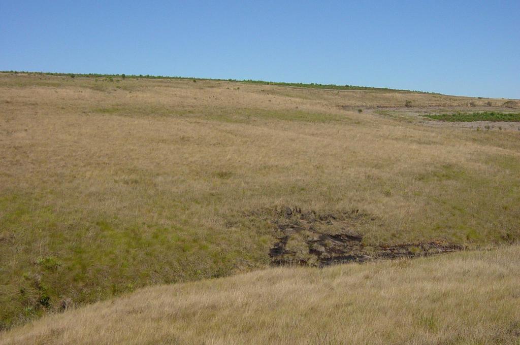 EROSÃO POR FLUXO DE MASSA zona não-hidromórfica zona hidromórfica zona hidromórfica semi-hidromórfica PERDAS: