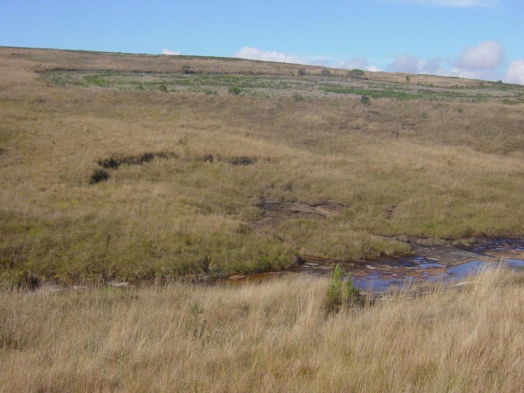 zona hidromórfica primitiva zona não-hidromórfica zona hidromórfica zona hidromórfica PERDAS: - DE