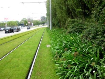 (linhas B e C) onde gradualmente vai surgindo mais vegetação e se