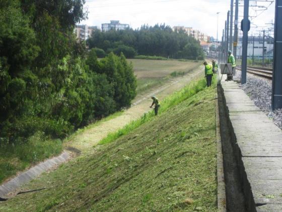 revestimento espontâneo do parque de estacionamento de Fânzeres Linha F (Gondomar)