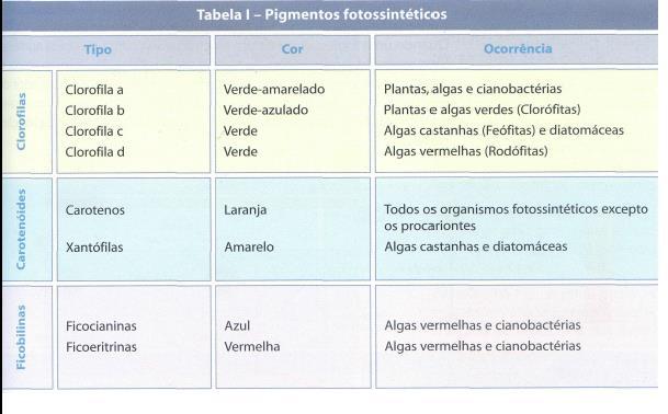 No ponto nº 5, compara os resultados