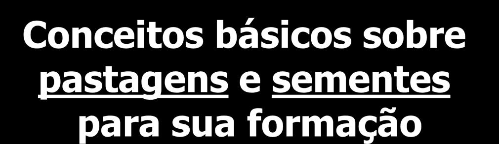 Conceitos básicos sobre pastagens e sementes para sua