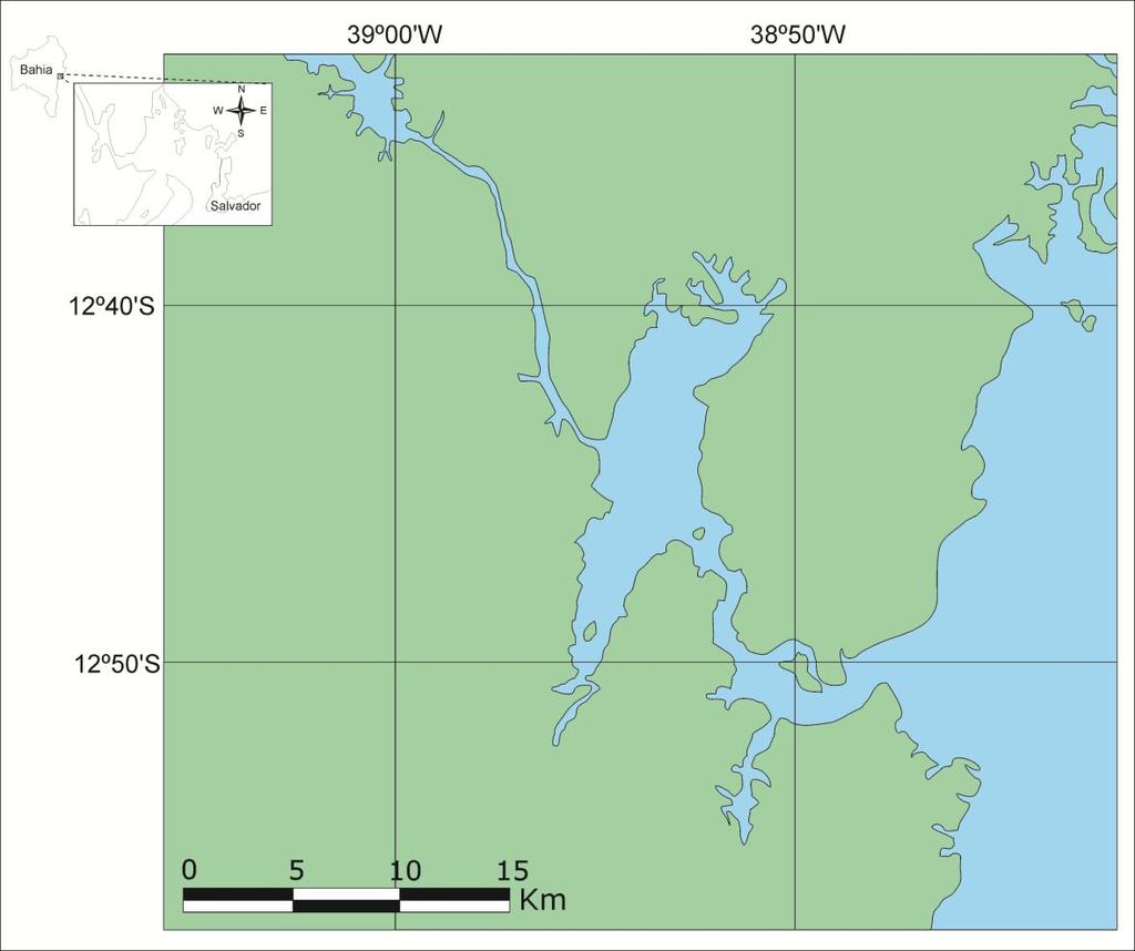 34 2.2 PROCEDIMENTOS DE CAMPO 2.2.1 COLETA DAS AMOSTRAS As campanhas de amostragem de sedimento superficial de fundo foram feitas no estuário do rio Paraguaçu em dois períodos: a primeira, 18 e 19 de