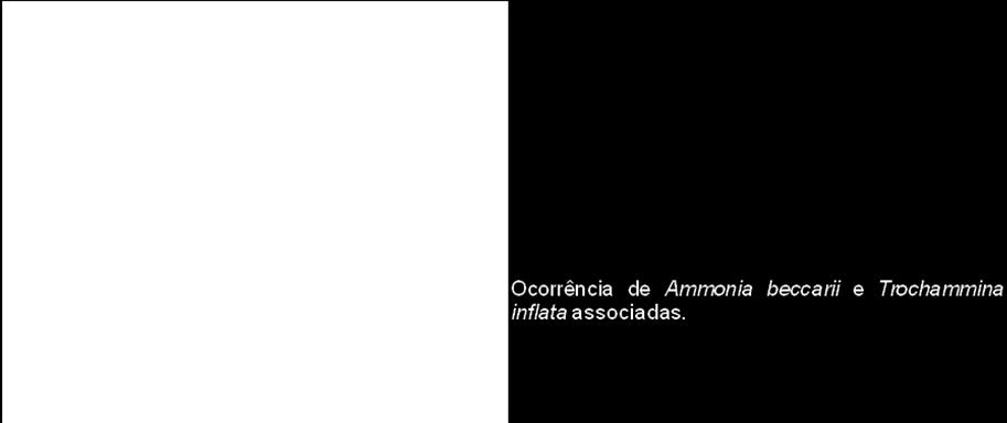 70 3.6.2 AGRUPAMENTO DE ESPÉCIES Assumindo uma similaridade de 40% para ambas estações, nota-se a formação de um grupo onde Ammonia beccarii e Trochammina inflata aparecem associadas.