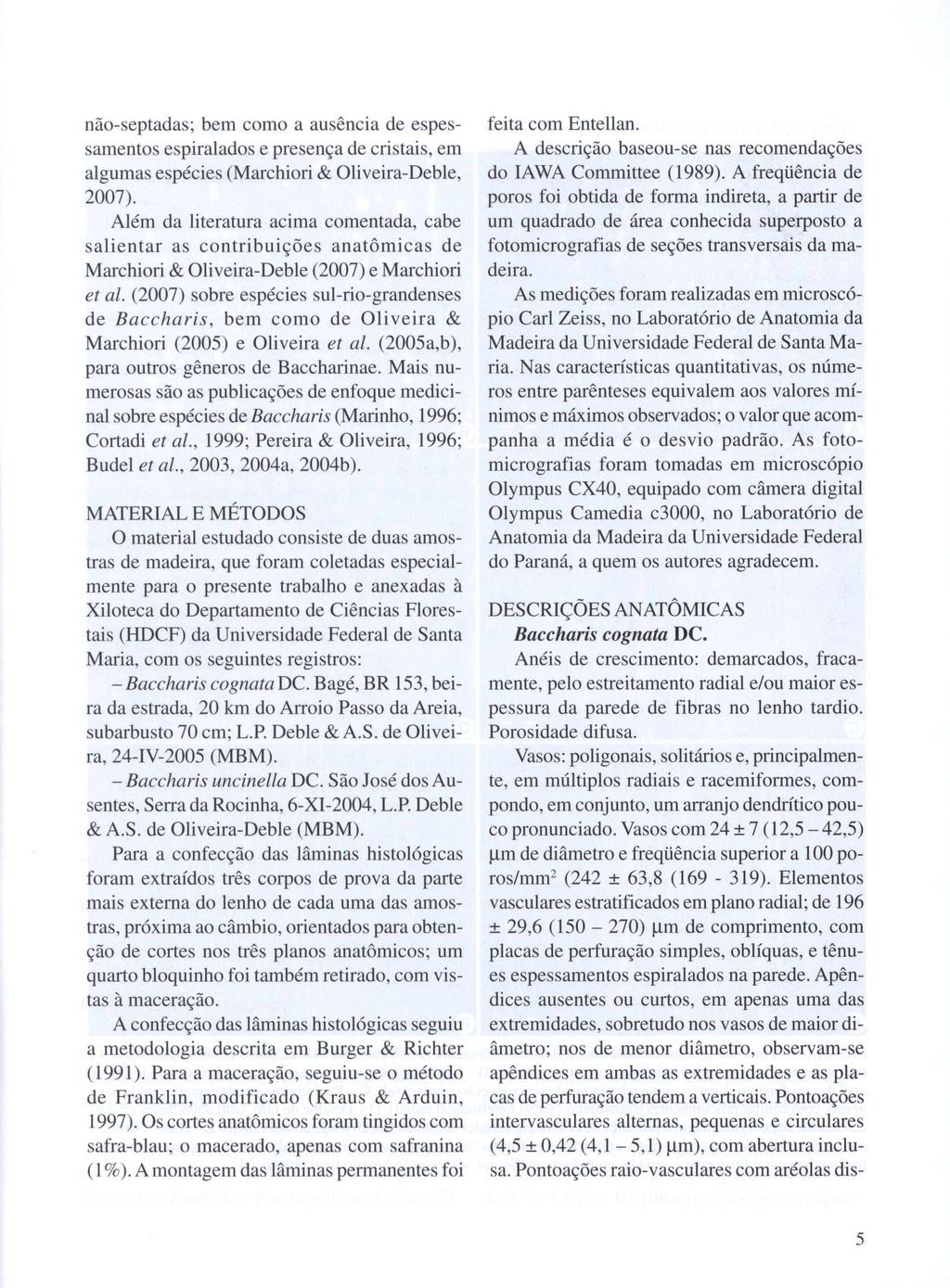 não-septadas; bem como a ausência de espessamentos espiralados e presença de cristais, em algumas espécies (Marchiori & Oliveira-Deble, 2007).