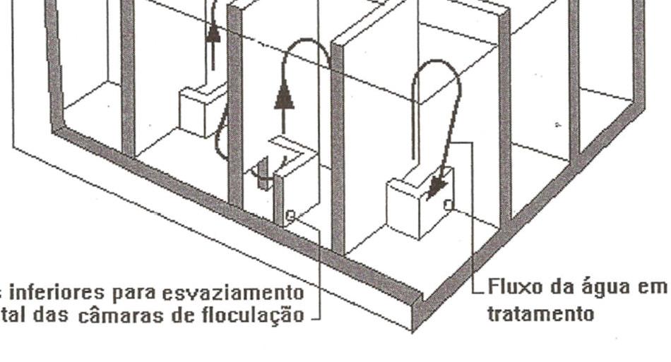 Tipo