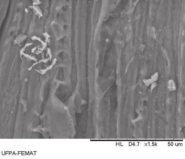 47 Figura 27- Micrografia obtida por MEV da superfície de fibras