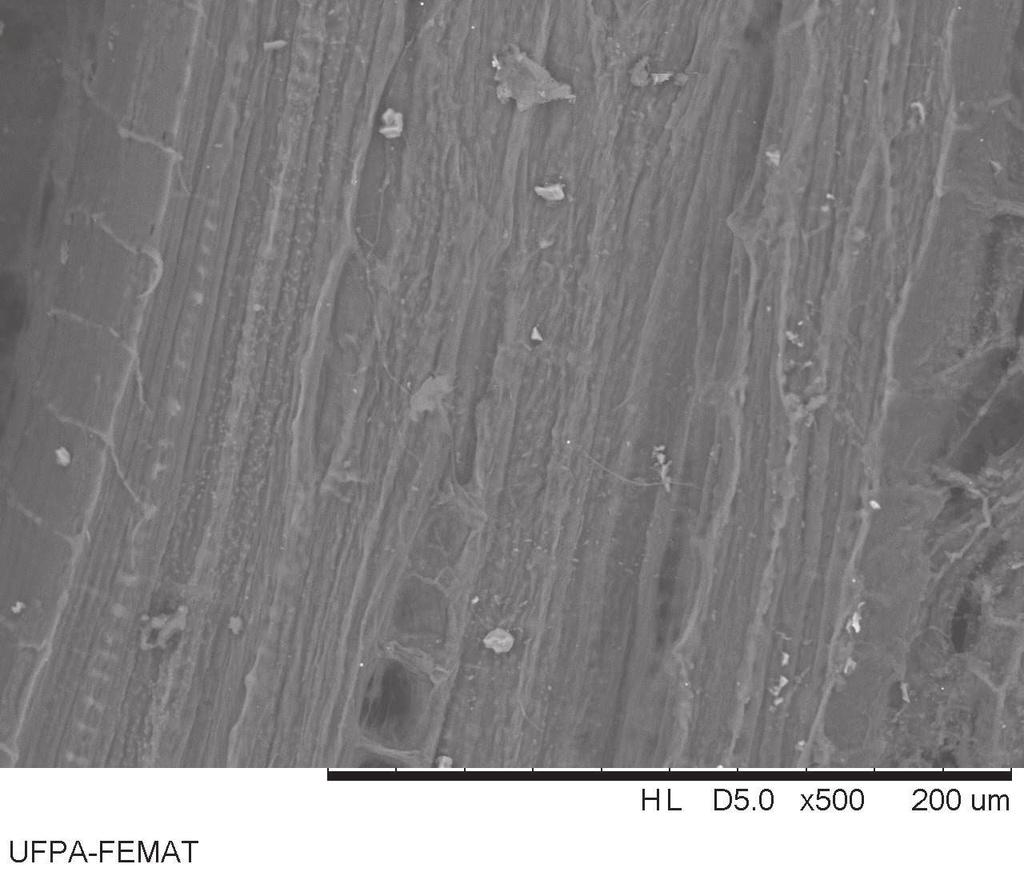 Figura 28- Micrografia obtida por MEV da superfície de fibras