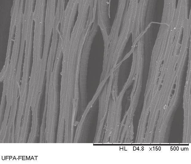 49 Figura 30- Micrografia obtida por MEV da superfície de