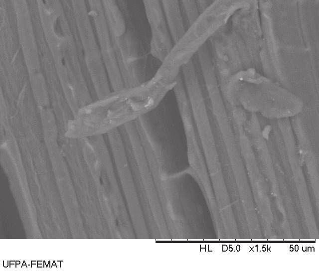 50 Figura 32- Micrografia obtida por MEV da superfície de
