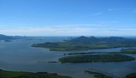 Mata Atlântica e a manutenção da diversidade