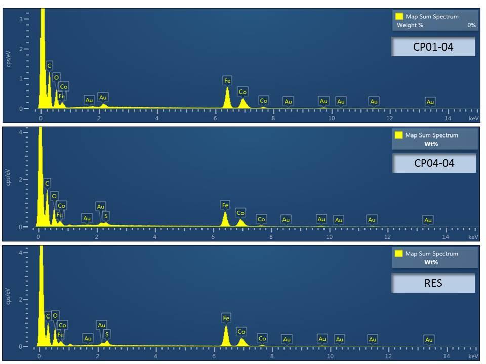 (Figura1: Espectroscopia de raios-x e Microscopia