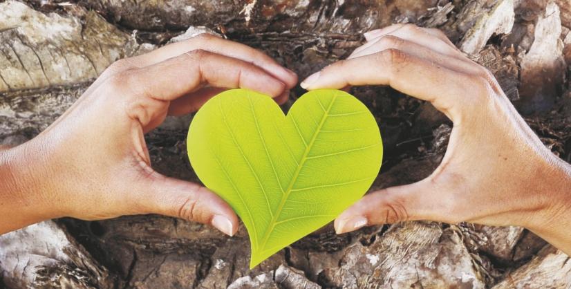 METODOLOGIA A Câmara Municipal de Sines, através do Serviço de Ambiente e Conservação da Natureza, desenvolve um conjunto de atividades relacionadas com o meio ambiente destinadas aos alunos de