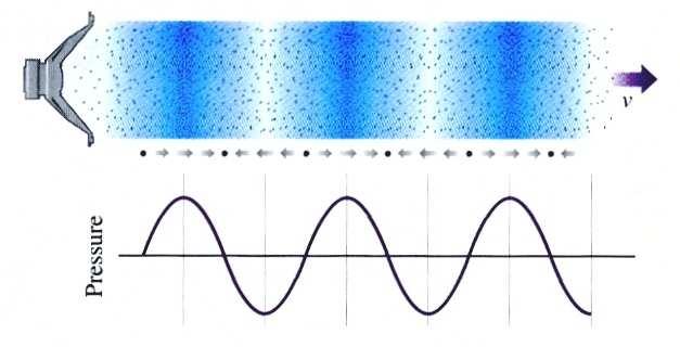 Onda sonora A onda sonora é caracterizada pela sua frequência (f), que corresponde ao número de vibrações por segundo (medida em hertz, Hz), e pelo