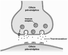 QUESTÃO 3 Anestésicos são substâncias que bloqueiam a passagem do impulso nervoso na célula e consequentemente a liberação de neurotransmissores na fenda sináptica, retirando a dor de pacientes.