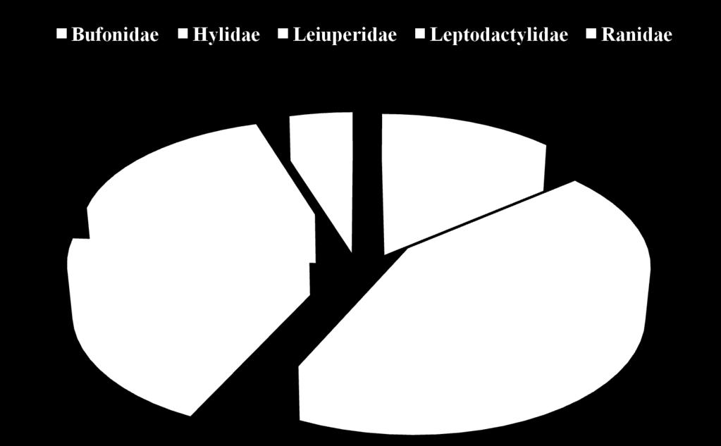 A Ranidae foi à família com menor número de representantes, apenas uma, correspondendo a 5% do total das espécies encontradas na mata.