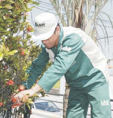 JARDINAGEM A manutenção e conservação das áreas verdes é executada seguindo um planejamento de trabalho que tem por objetivo preservar a beleza e estilo