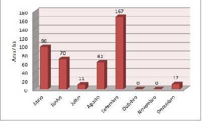 Depois do monitoramento, foi constatado um desmatamento total de 420 há no período considerado, e que teve alguns picos e quedas no decorrer do ano, conforme observado na Tabela 1 e Figura 3.