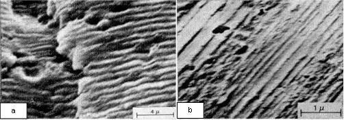 (1). O estudo de K. Sitthiseripratip, et al. (2) e C. J. Wang, et al.