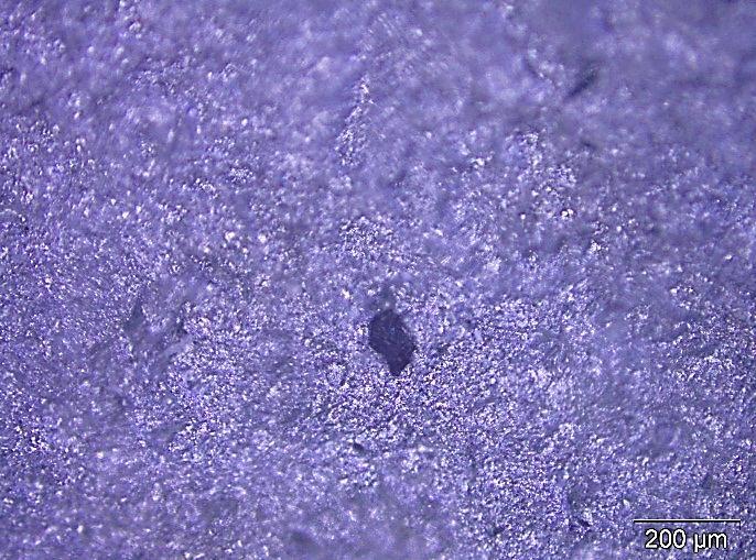 (c) Microscopia Óptica da superfície após decapagem.