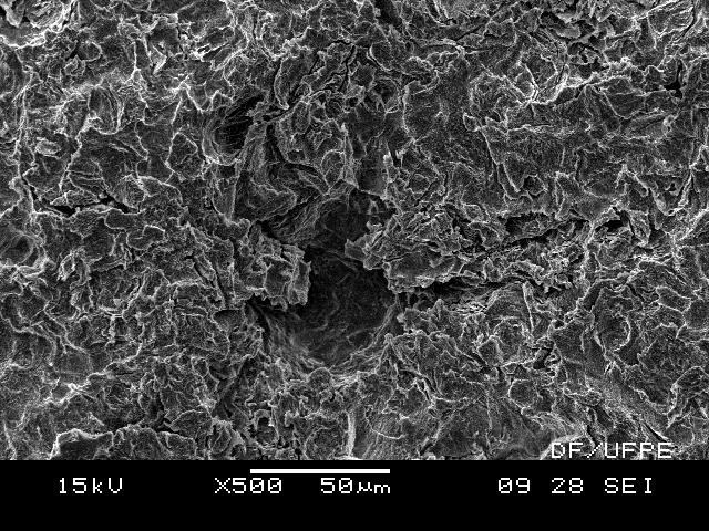 Imagens obtidas por microscopia eletrônica de varredura (MEV).
