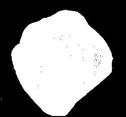 (Vista Cranial) Incisura