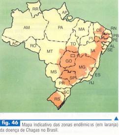 mucocutânea é encontrada na America do