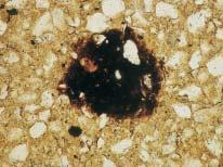 O quartzo é o componente marcadamente maioritário do conjunto mineralógico e, entre os outros minerais, registam-se: feldspato (em particular plagioclase), que se situa no mesmo intervalo dimensional