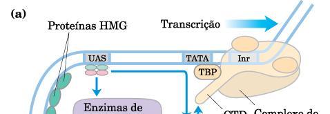 Ativação