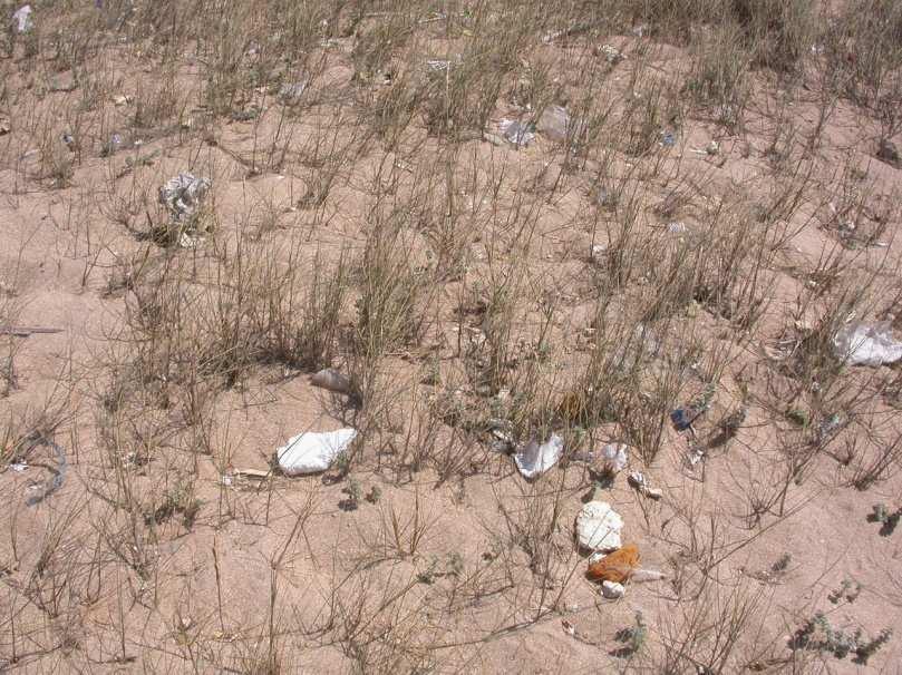 Consolação, Peniche, lixo nas dunas Praia do Mar,