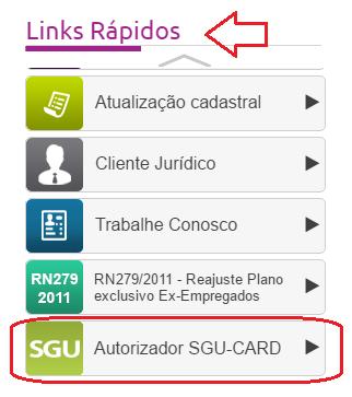 Página 2 de 21 Como acessar o SGU-CARD?