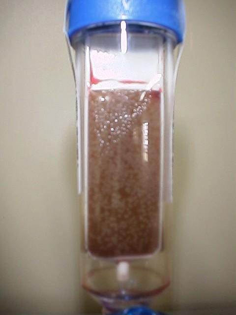 22 Figura 5: Crescimento bacteriano em Agar Chocolate (Face larga da lâmina - Hemobac Trifásico ). 3.3. Antibiograma A.