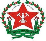 GOVERNO DO ESTADO DE MINAS GERAIS SECRETARIA DE ESTADO DE SAÚDE DE MINAS GERAIS SUPERINTENDÊNCIA DE ASSISTÊNCIA FARMACÊUTICA DIRETORIA DE MEDICAMENTOS DE ALTO CUSTO TERMO DE ADESÃO Estou ciente que