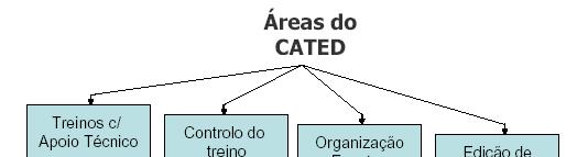 Organização do