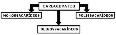 Carboidratos Conhecido como Açucares, Glicídios ou