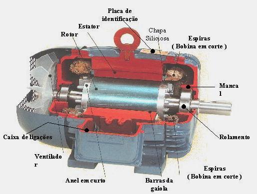 2.3.2 Motores Elétricos Trifásicos: Alimentado através de uma fonte de CA trifásica. No seu estator, possui três grupos de bobinas cada um ligado a sua respectiva FASE.