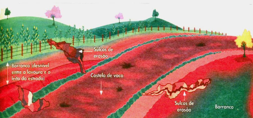 Hierarquização para orientar manutenção de rodovias não-pavimentadas página 21 O estado de conservação da superfície de rodovia não-pavimentada depende de material usado na construção, de