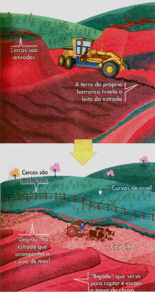 superfície é essencial para evitar que solos sejam despejados na plataforma. Plantar árvores ou arbustos à margem de rodovia pode contribuir para evitar erosão.