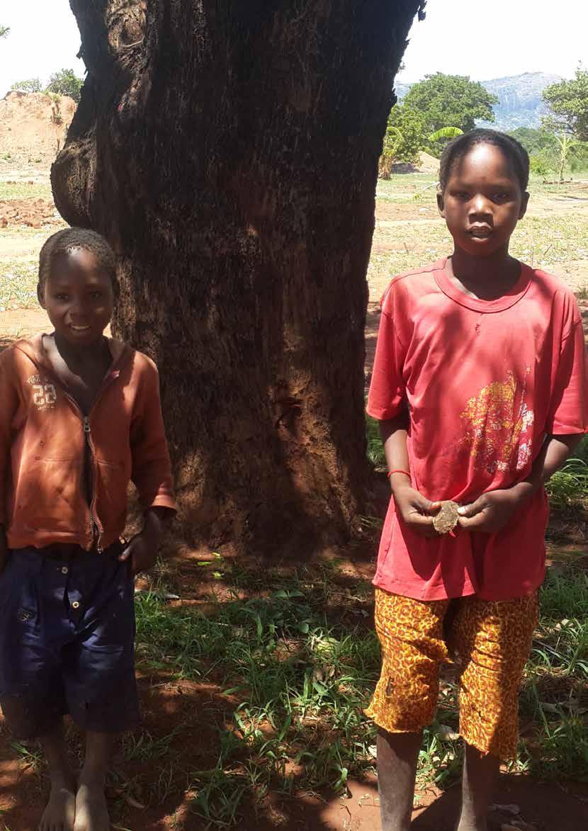 RELATÓRIO FINAL O Avanço das Plantações Florestais sobre os Territórios dos Camponeses no