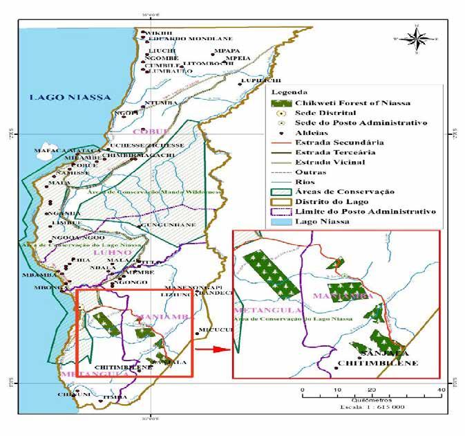 Figura 5: Mapa de plantações florestais no Distrito do Lago Fonte: Ministério da Agricultura (2014) e DPA Niassa (2015).