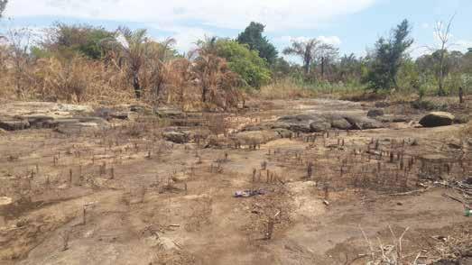 Relativamente à distância das plantações com as bacias hidrográficas e a profundidade com o lençol freático, verificamos que grande parte das plantações (principalmente da Lúrio Green Resources)