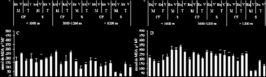 maio, (E) junho, (F) julho Nota: As barras representam o erro padrão da média (n=3).