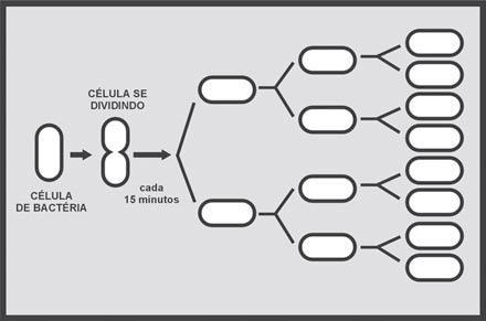 COMO AS BACTÉRIAS SE MULTIPLICAM?