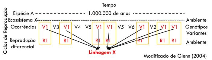 Seleção por consequências (Skinner, 1953; 1981).