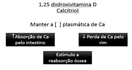 circulante estimula a tireóide a liberar calcitonina Retirada de Ca ósseo Ossos bloqueia osteólise osteocítica número de osteoclastos Paratormônio PO 4 Ca 2+ circulante estimula liberação de PTH