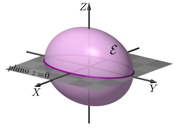 Cilindros quádricos e identificação de quádricas MÓDULO 3 - AULA 31 obtidas intersectando a superfície com os planos coordenados. seções básicas a tais seções.