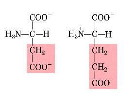 consecutivos destabililizam a hélice-a, i.e. arginina e glutamina (3,4).