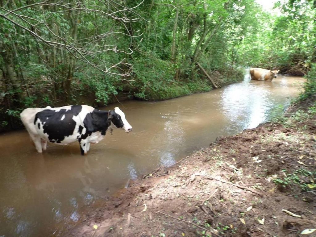 Cercas para